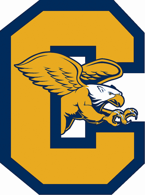 Canisius Golden Griffins 2006-Pres Alternate Logo iron on transfers for clothing